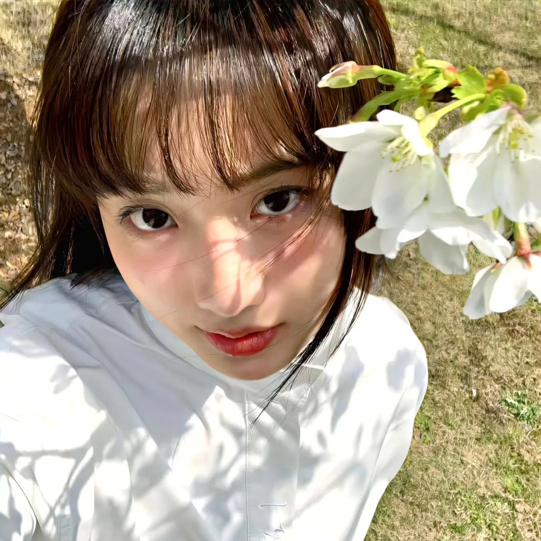 探险活宝第八季
